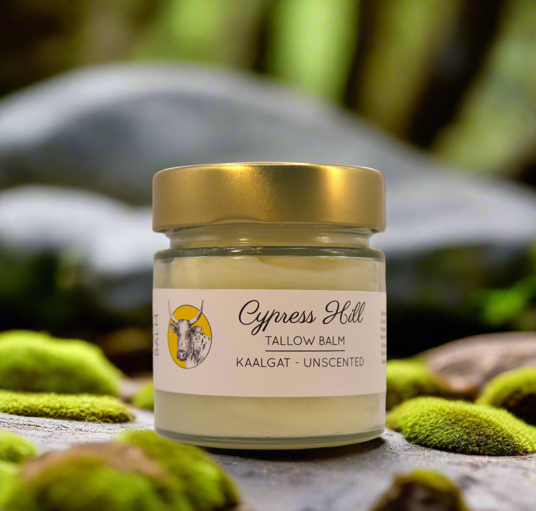 Jar of Cypress Hill tallow balm with a gold lid on a light background